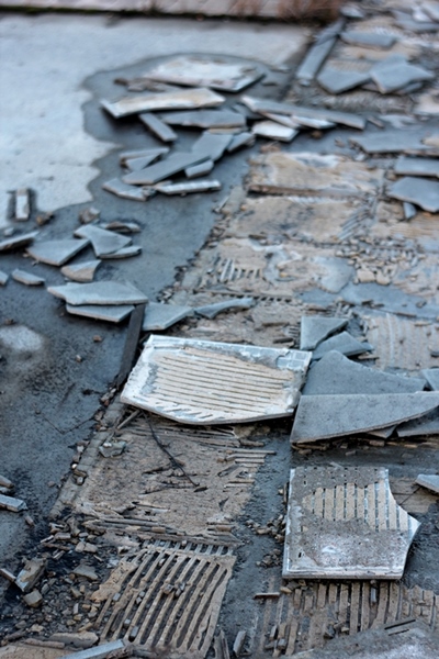 Kliknij na zdjęcie, żeby zobaczyć w pełnych wymiarach