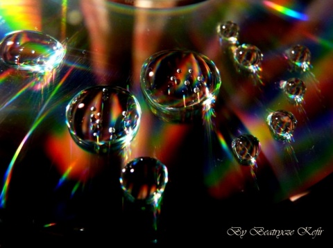 Kliknij na zdjęcie, żeby zobaczyć w pełnych wymiarach