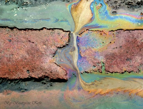 Kliknij na zdjęcie, żeby zobaczyć w pełnych wymiarach