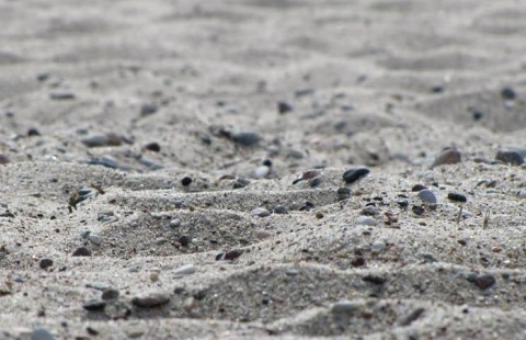 Kliknij na zdjęcie, żeby zobaczyć w pełnych wymiarach