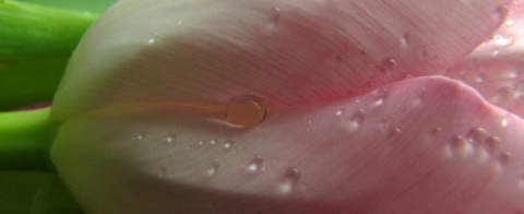 Kliknij na zdjęcie, żeby zobaczyć w pełnych wymiarach