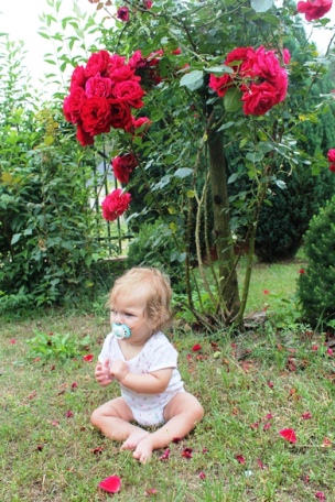 Kliknij na zdjęcie, żeby zobaczyć w pełnych wymiarach