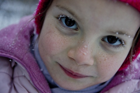 Kliknij na zdjęcie, żeby zobaczyć w pełnych wymiarach