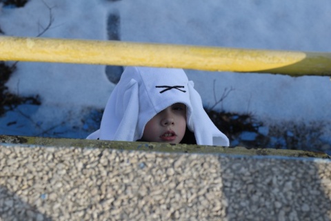 Kliknij na zdjęcie, żeby zobaczyć w pełnych wymiarach