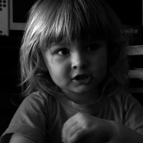 Kliknij na zdjęcie, żeby zobaczyć w pełnych wymiarach