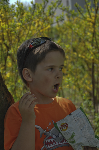 Kliknij na zdjęcie, żeby zobaczyć w pełnych wymiarach