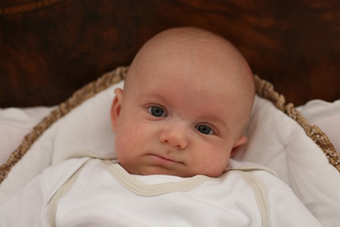 Kliknij na zdjęcie, żeby zobaczyć w pełnych wymiarach