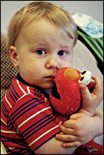 Kliknij na zdjęcie, żeby zobaczyć w pełnych wymiarach