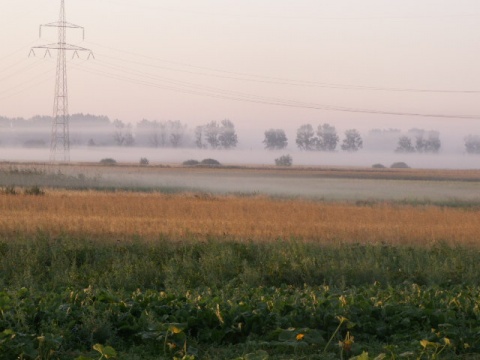 Kliknij na zdjęcie, żeby zobaczyć w pełnych wymiarach