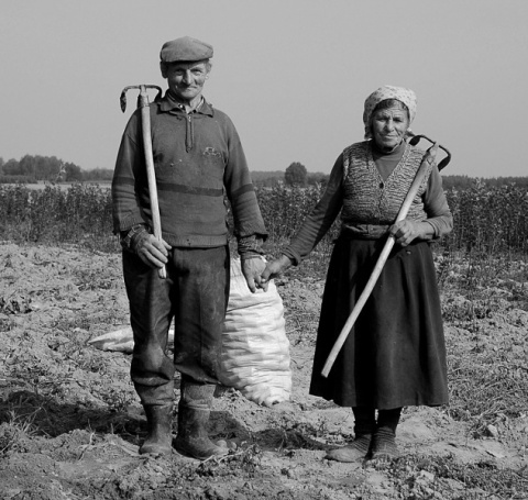Kliknij na zdjęcie, żeby zobaczyć w pełnych wymiarach