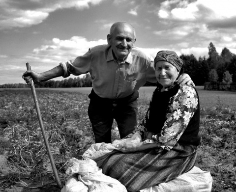 Kliknij na zdjęcie, żeby zobaczyć w pełnych wymiarach