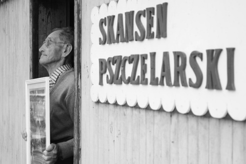 Kliknij na zdjęcie, żeby zobaczyć w pełnych wymiarach