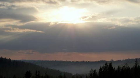 Kliknij na zdjęcie, żeby zobaczyć w pełnych wymiarach