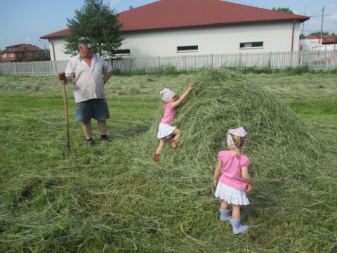 Kliknij na zdjęcie, żeby zobaczyć w pełnych wymiarach