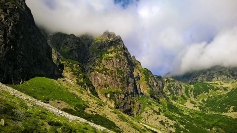 Kliknij na zdjęcie, żeby zobaczyć w pełnych wymiarach