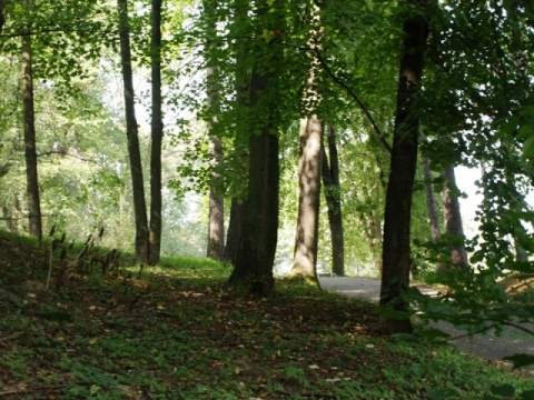 Kliknij na zdjęcie, żeby zobaczyć w pełnych wymiarach