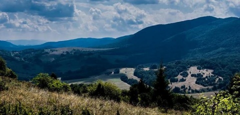 Kliknij na zdjęcie, żeby zobaczyć w pełnych wymiarach