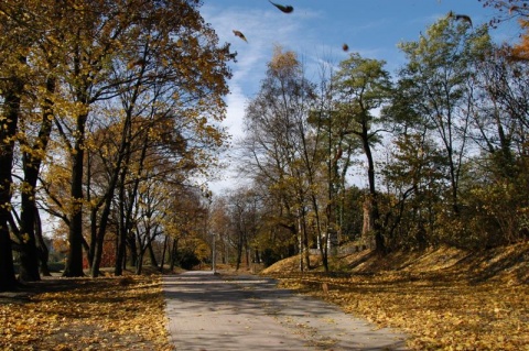 Kliknij na zdjęcie, żeby zobaczyć w pełnych wymiarach