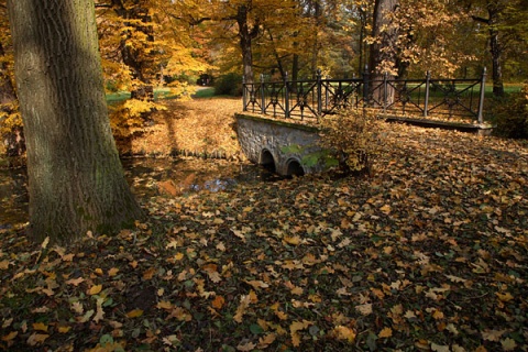 Kliknij na zdjęcie, żeby zobaczyć w pełnych wymiarach