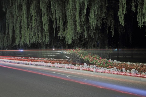 Kliknij na zdjęcie, żeby zobaczyć w pełnych wymiarach