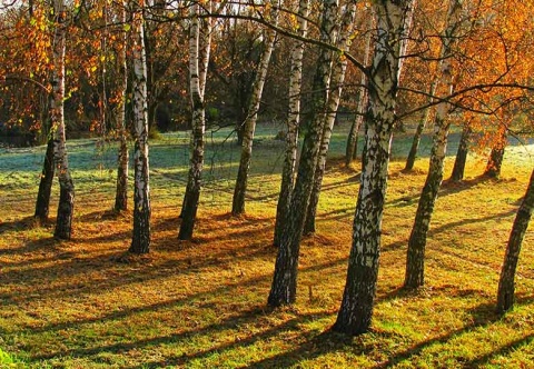 Kliknij na zdjęcie, żeby zobaczyć w pełnych wymiarach