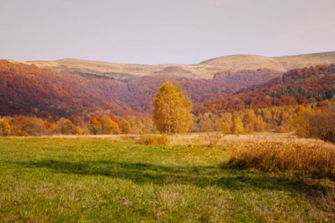 Kliknij na zdjęcie, żeby zobaczyć w pełnych wymiarach