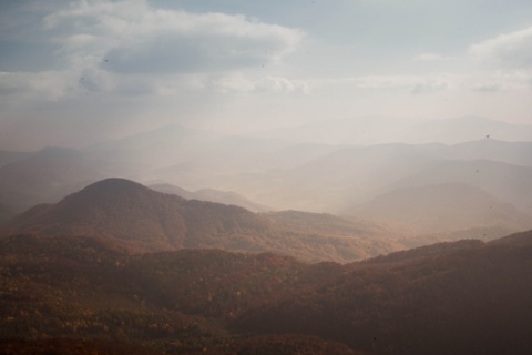 Kliknij na zdjęcie, żeby zobaczyć w pełnych wymiarach