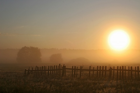 Kliknij na zdjęcie, żeby zobaczyć w pełnych wymiarach