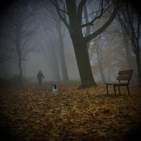 Kliknij na zdjęcie, żeby zobaczyć w pełnych wymiarach