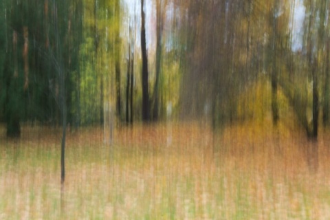 Kliknij na zdjęcie, żeby zobaczyć w pełnych wymiarach