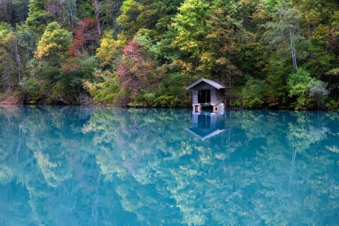 Kliknij na zdjęcie, żeby zobaczyć w pełnych wymiarach