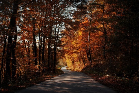Kliknij na zdjęcie, żeby zobaczyć w pełnych wymiarach