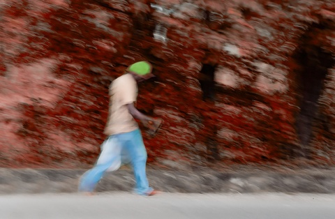 Kliknij na zdjęcie, żeby zobaczyć w pełnych wymiarach