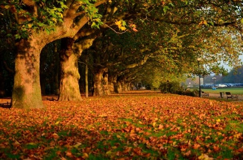 Kliknij na zdjęcie, żeby zobaczyć w pełnych wymiarach