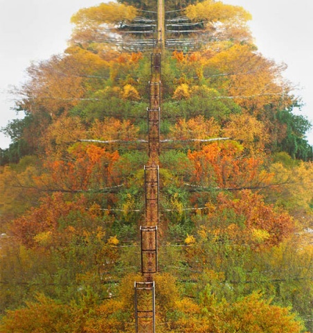 Kliknij na zdjęcie, żeby zobaczyć w pełnych wymiarach