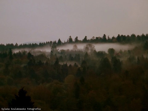 Kliknij na zdjęcie, żeby zobaczyć w pełnych wymiarach