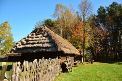 Kliknij na zdjęcie, żeby zobaczyć w pełnych wymiarach