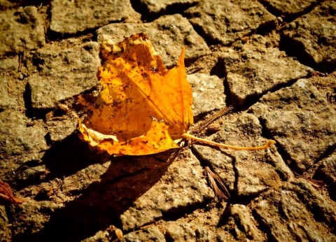 Kliknij na zdjęcie, żeby zobaczyć w pełnych wymiarach
