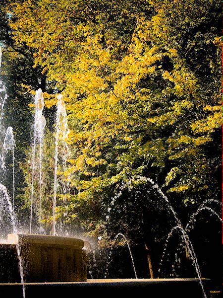 Kliknij na zdjęcie, żeby zobaczyć w pełnych wymiarach