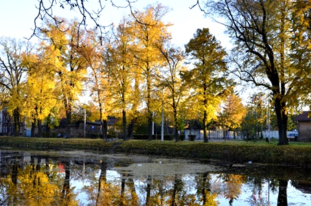 Kliknij na zdjęcie, żeby zobaczyć w pełnych wymiarach