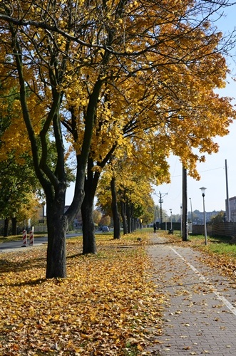 Kliknij na zdjęcie, żeby zobaczyć w pełnych wymiarach