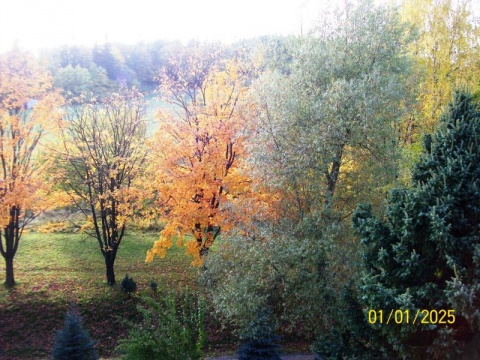 Kliknij na zdjęcie, żeby zobaczyć w pełnych wymiarach