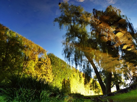 Kliknij na zdjęcie, żeby zobaczyć w pełnych wymiarach