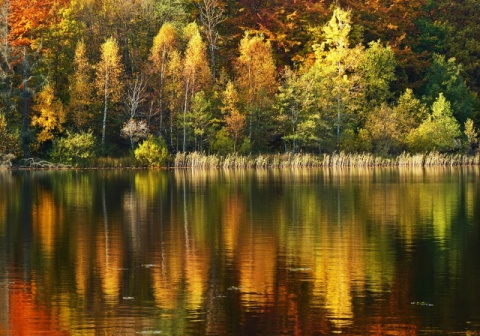 Kliknij na zdjęcie, żeby zobaczyć w pełnych wymiarach
