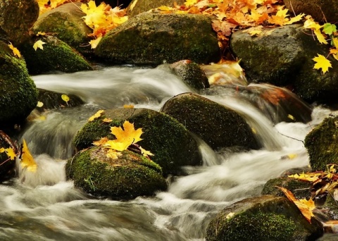 Kliknij na zdjęcie, żeby zobaczyć w pełnych wymiarach