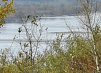 Kliknij na zdjęcie, żeby zobaczyć w pełnych wymiarach