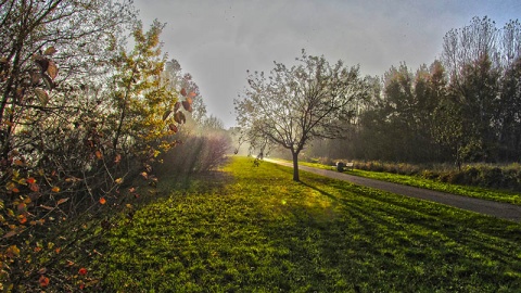 Kliknij na zdjęcie, żeby zobaczyć w pełnych wymiarach