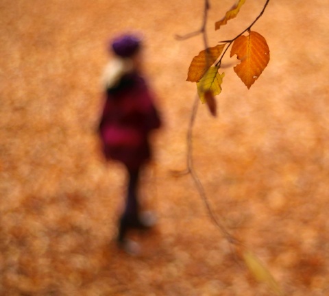 Kliknij na zdjęcie, żeby zobaczyć w pełnych wymiarach