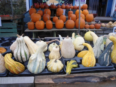 Kliknij na zdjęcie, żeby zobaczyć w pełnych wymiarach