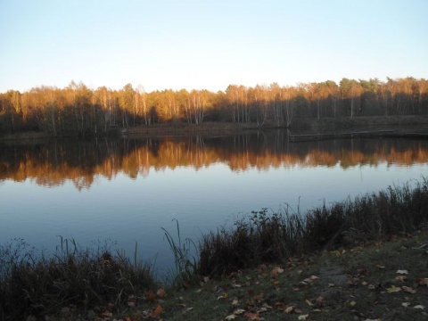 Kliknij na zdjęcie, żeby zobaczyć w pełnych wymiarach